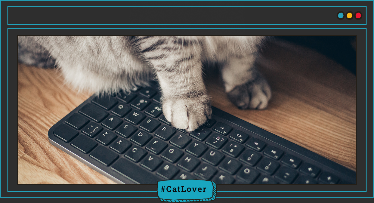 gatos y trabajo desde casa